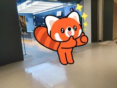 -無弓射箭俱乐部(领展中心城店)