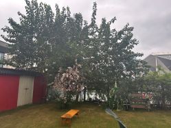 -WPlus明星肖像亲子全家福摄影