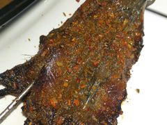 马面鱼-悦屋老板娘的烤肉店(紫薇田园店)