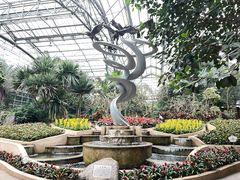 -南山植物园