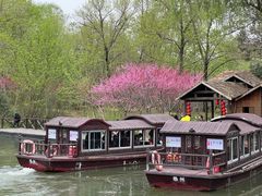 -溱湖国家湿地公园