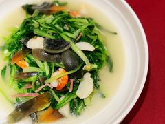 上汤鸡毛菜-老吉士酒家(天平路店)