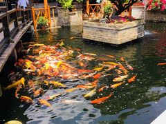 大堂-猪肉婆私房菜(容桂总店)