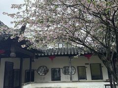 -常熟方塔园