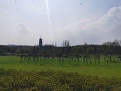 -宜兴龙背山森林公园