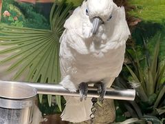 -绿色星球动物主题公园