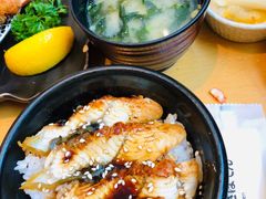 -胜博殿日式炸猪排(西红门店)