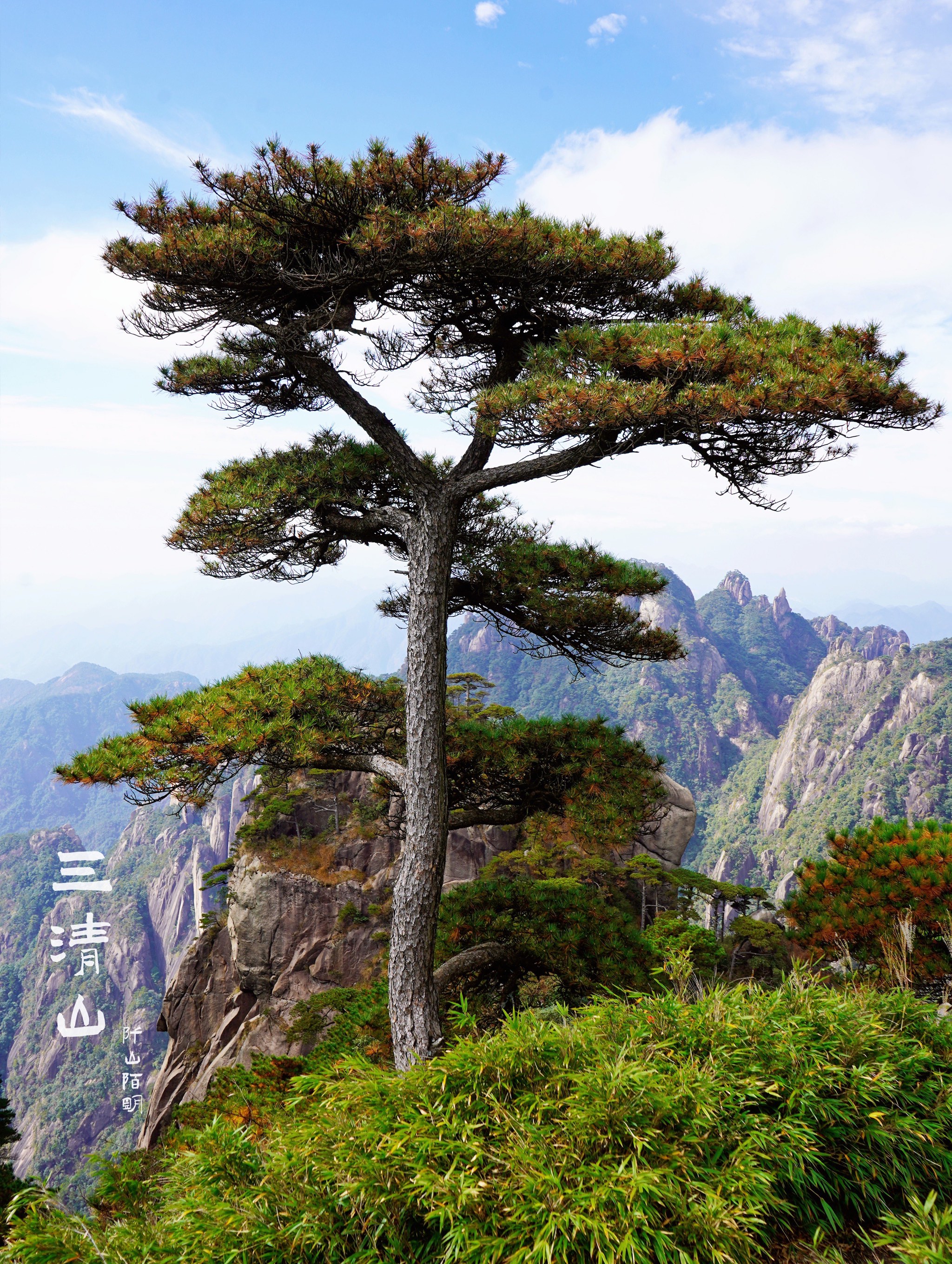 上饶三清山图片图片