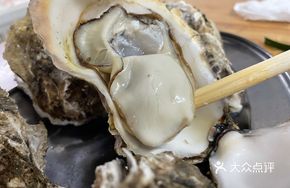 Original Flavor Oyster