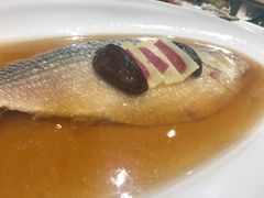-乔家栅(襄阳南路店)