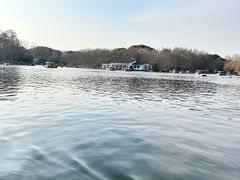 -上海海湾国家森林公园