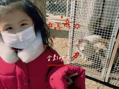 -1982农场