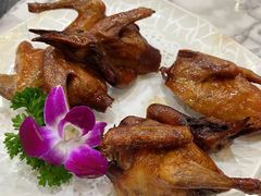 -鸽鸟轩(石岐店)