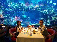 -迪拜帆船酒店海底餐厅