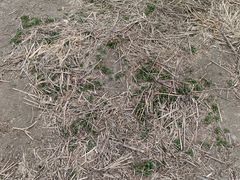 -天津东丽湖风景区