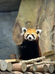 -Zoolung Zoolung动物主题公园(海信广场店)