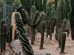 -深圳仙湖植物园