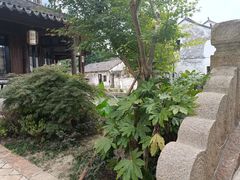 -黎里古镇