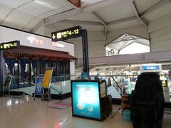 -丽江三义国际机场