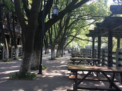 -白马涧龙池景区