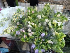 -循礼门鲜花花市(武汉循礼门店)