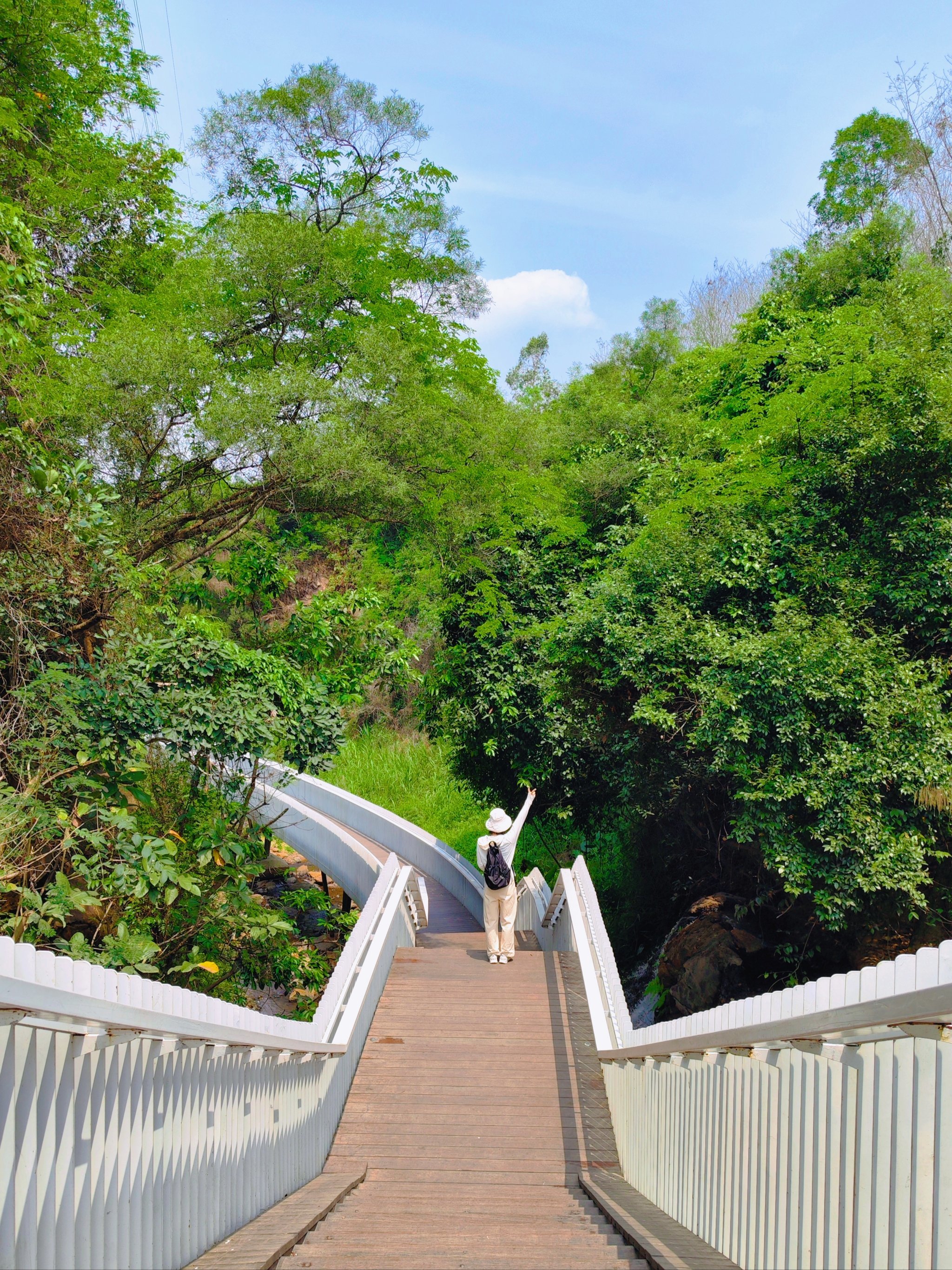 深圳的‼️藏在山谷里的绿道,瀑布景观绝美🌊