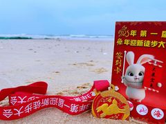 -盐洲岛