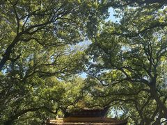 -普陀山风景区-佛顶山