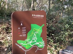 -上海佘山国家森林公园天马山园