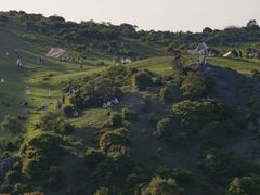 -大姆山草场