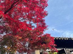-无锡惠山寺