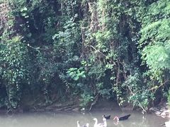 -三爪仑观音岩
