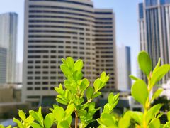 -大连富丽华大酒店