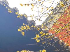 -钱王祠