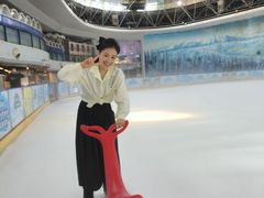 -世界之窗阿尔卑斯冰雪世界