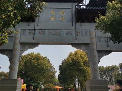 -南汇桃花村
