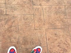 -郑州方特梦幻王国