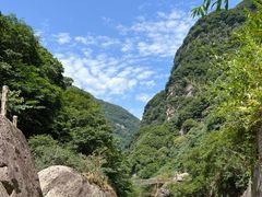 -陕西省红河谷森林公园