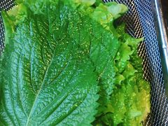 -Dombe豚(黑猪肉街店)