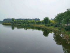 -东郊湿地公园