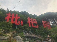 -枇杷园食为鲜火锅(南山店)