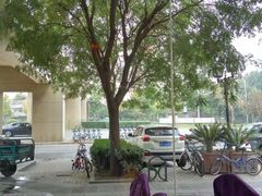 -金蝉食府(维吉奥广场店)