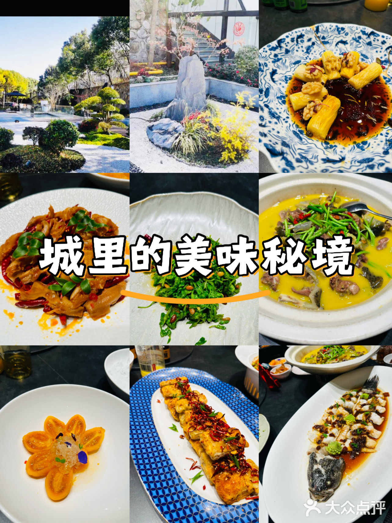 品鉴午间美味佳肴