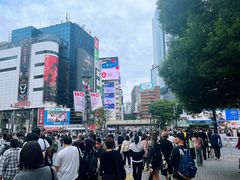 -涩谷区