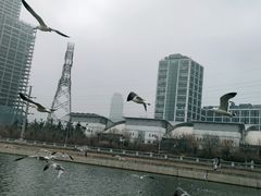 -马栏河运动公园