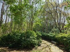 -上海中医药大学附属曙光医院(东部)