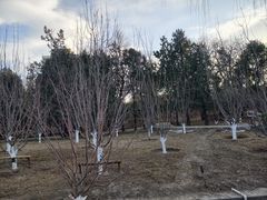 -元大都城垣遗址公园