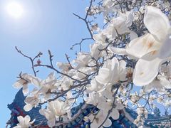 -西安市广仁寺