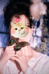 -WAVE SODA摄影工作室