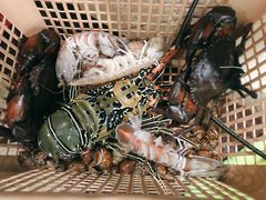 -班赞海鲜市场
